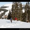 20080120_313